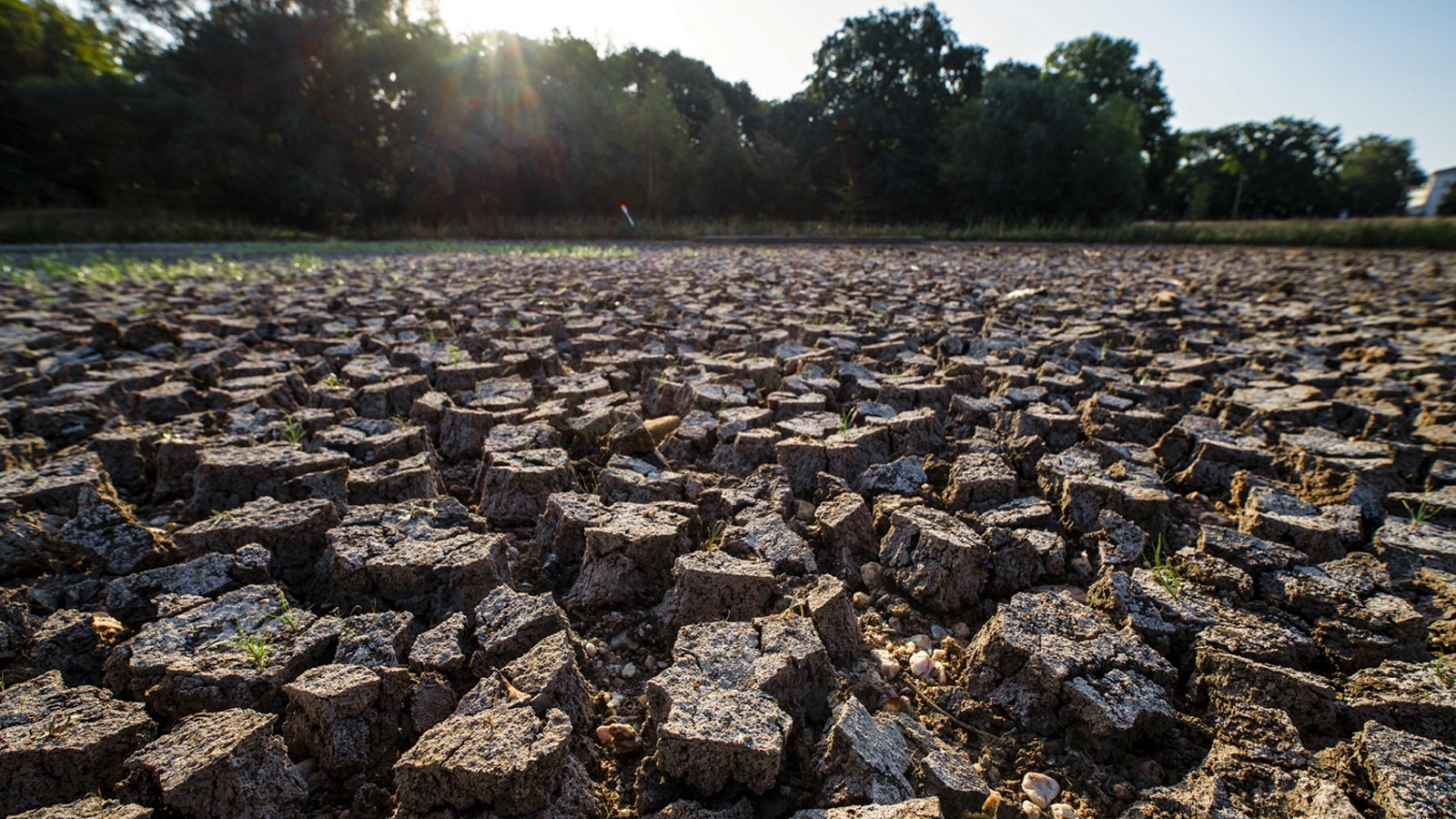 Klimawandel verstärkt extreme Hitze im Boden