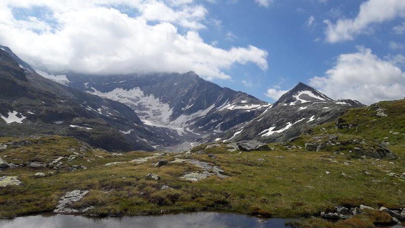 Extremes Wetter beeinflusst Bodenmikroben