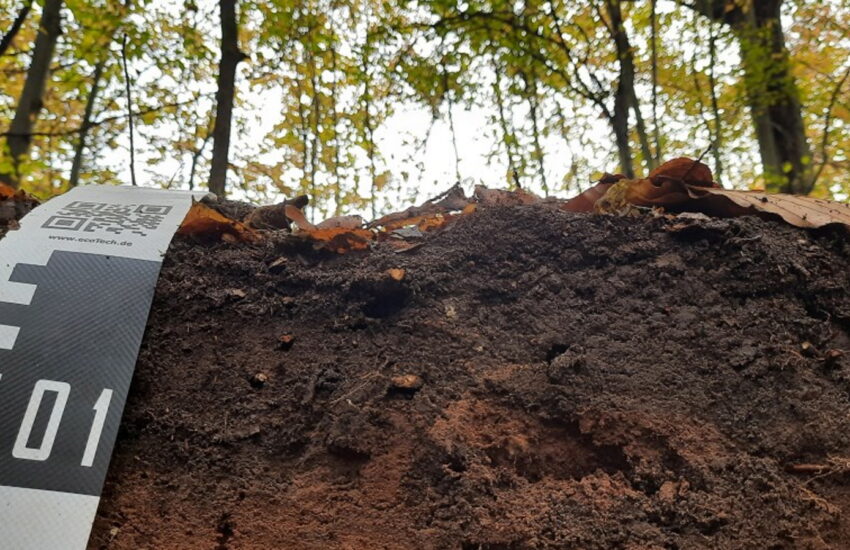 Mikroplastik im Waldboden