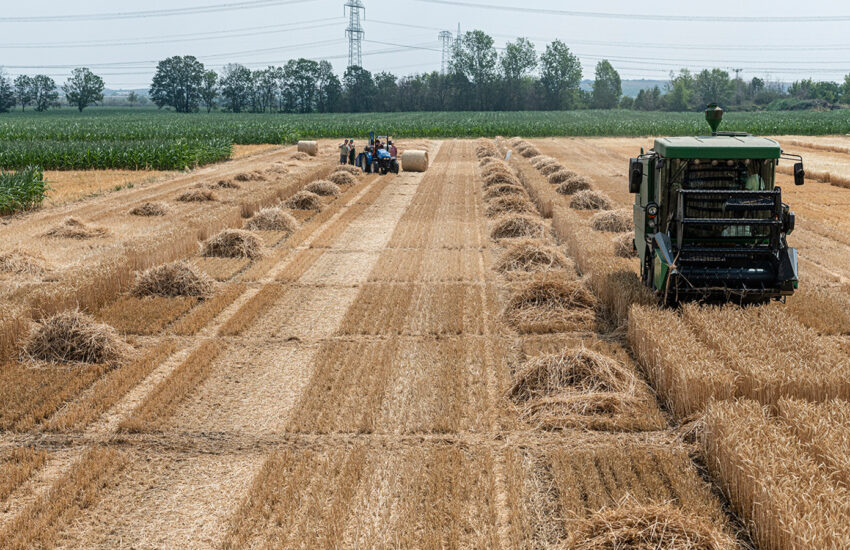 Boden Weizenfeld Metalle