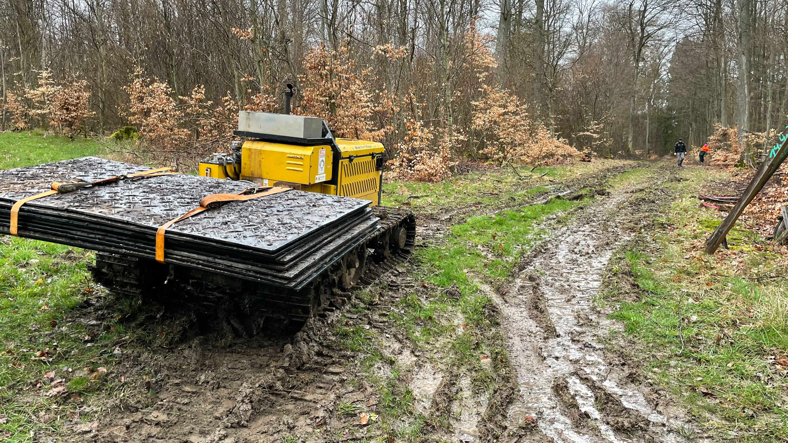 Helfen Matten auf dem Waldboden Schäden abzuwenden?